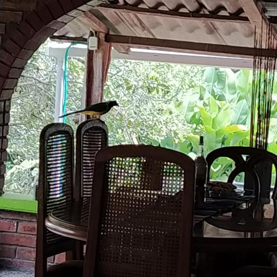 La Acuarela, Posada De La Monita Pereira Extérieur photo