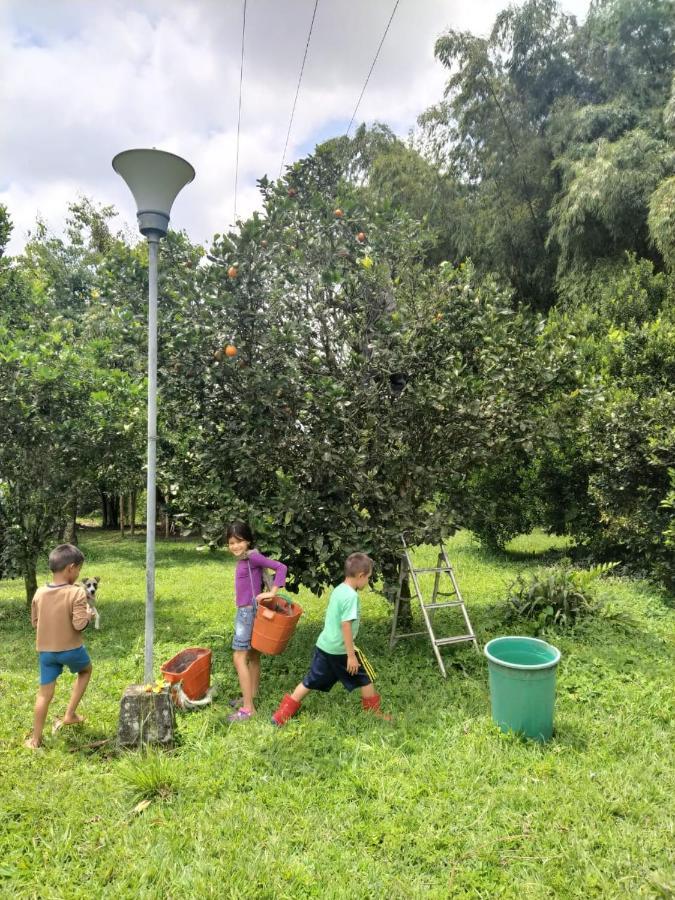 La Acuarela, Posada De La Monita Pereira Extérieur photo