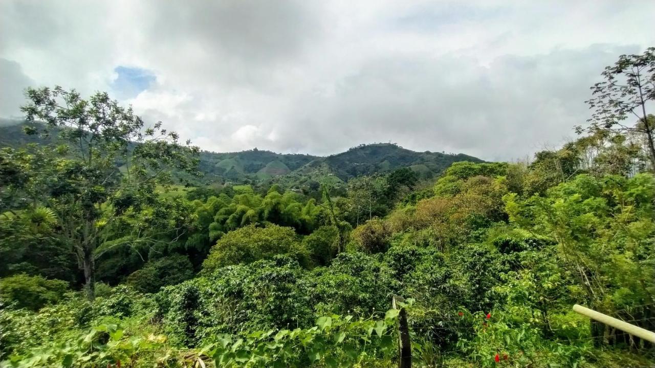 La Acuarela, Posada De La Monita Pereira Extérieur photo